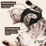 CharmPaws® Explorer Air - Ademend en Verstelbaar Kattenharnas met Looplijn