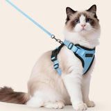 CharmPaws® Explorer Air - Ademend en Verstelbaar Kattenharnas met Looplijn