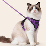 CharmPaws® Explorer Air - Ademend en Verstelbaar Kattenharnas met Looplijn