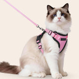CharmPaws® Explorer Air - Ademend en Verstelbaar Kattenharnas met Looplijn